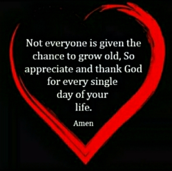 🐾 Crayola School Projects  Cutter Projects Kit NIP - Picture 15 of 16